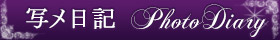 写メ日記