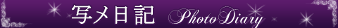 写メ日記